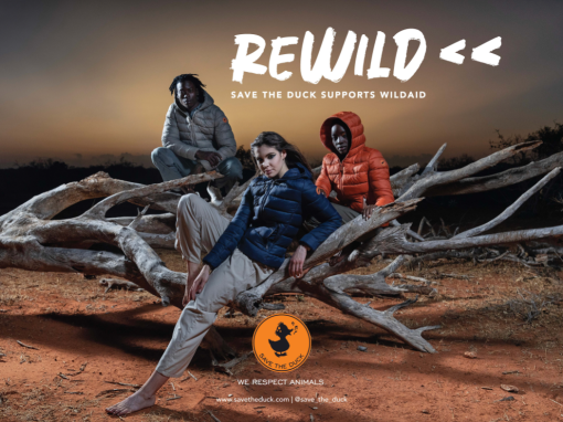 REWILD – Save The Duck